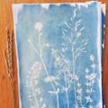 Miniature Atelier Cyanotype - Image 5
