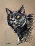 Miniature Pastel - Animaux - Image 4