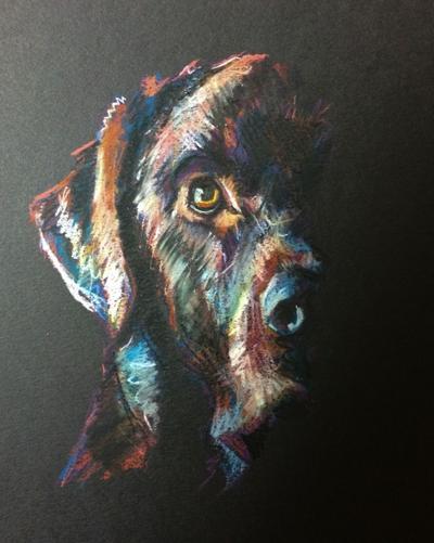Atelier Pastel - Animaux - Cours Pastel à Capinghem