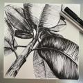 Miniature Dessin – Apprendre à dessiner à l'encre (fine liner) - Image 2