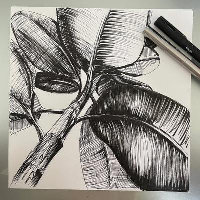 Atelier Dessin – Apprendre à dessiner à l'encre (fine liner) - Cours Dessin à Capinghem