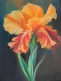 Miniature Pastel - Fleurs & Nature - Image 5