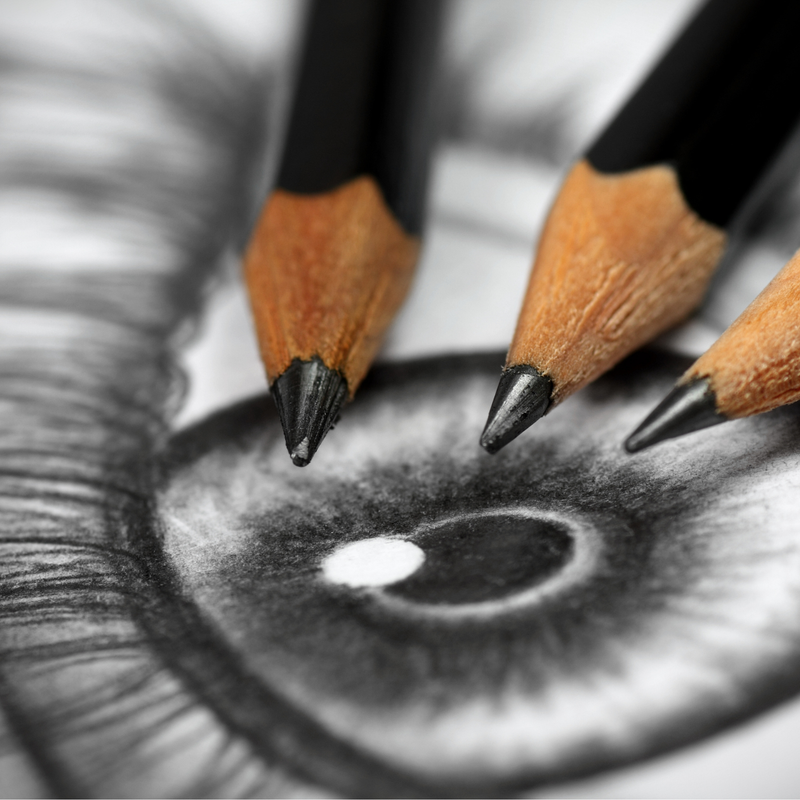 Atelier Dessin – Progression - Cours Dessin à Capinghem - Photo 1
