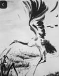 Miniature Atelier Lavis – Encre de Chine - Image 6