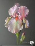 Miniature Pastel - Fleurs & Nature - Image 7