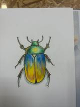 Réalisation Dessin aux crayons de couleur