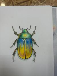 Réalisation Dessin aux crayons de couleur
