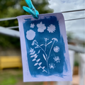 Miniature Atelier Cyanotype - Image 2