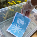 Miniature Atelier Cyanotype - Image 4