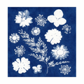 Miniature Atelier Cyanotype - Image 6