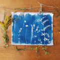 Miniature Atelier Cyanotype - Image 1