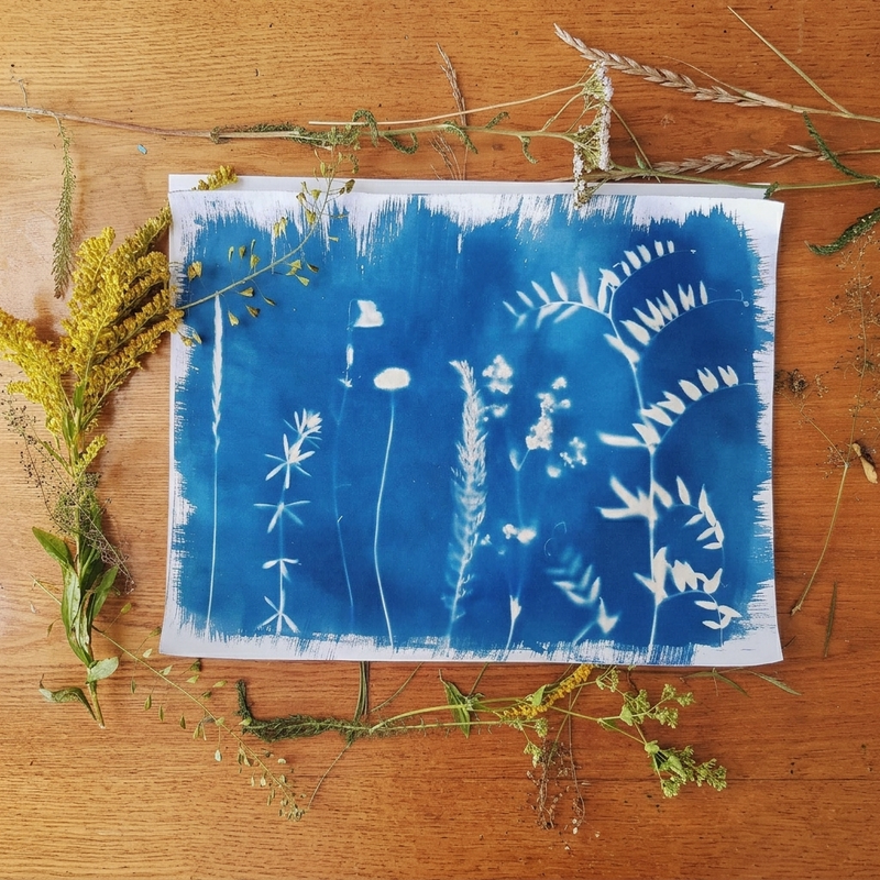 Atelier Cyanotype - Rartistes Capinghem Atelier Atelier Cyanotype - Cours Evènements à Capinghem - Photo 1