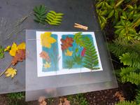 Réalisation Atelier Cyanotype