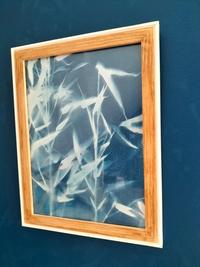 Réalisation Atelier Cyanotype