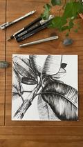 Miniature Dessin – Apprendre à dessiner à l'encre (fine liner) - Image 1