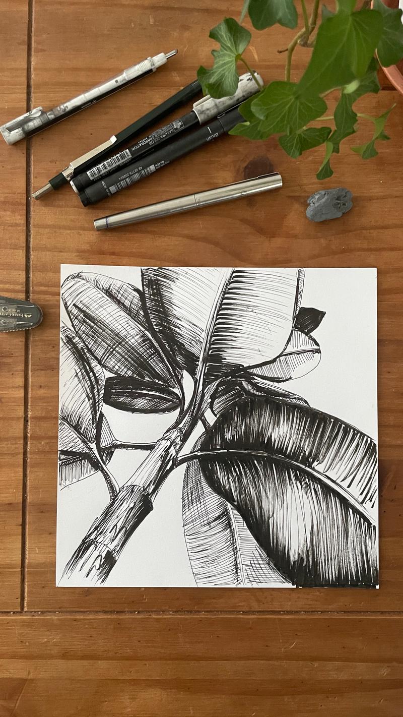 Atelier Dessin – Apprendre à dessiner à l'encre (fine liner) - Cours Dessin à Capinghem - Photo 1