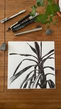 Miniature Dessin – Apprendre à dessiner à l'encre (fine liner) - Image 8