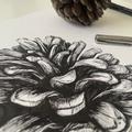 Miniature Dessin – Apprendre à dessiner à l'encre (fine liner) - Image 7