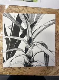 Réalisation Dessin – Apprendre à dessiner à l'encre (fine liner)