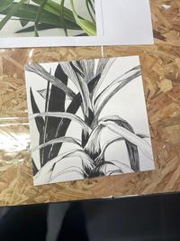 Réalisation Dessin – Apprendre à dessiner à l'encre (fine liner)