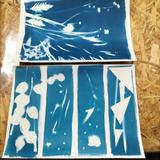 Réalisation Atelier Cyanotype