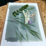 Réalisation Atelier Cyanotype