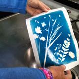 Réalisation Atelier Cyanotype