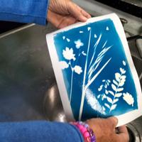 Réalisation Atelier Cyanotype