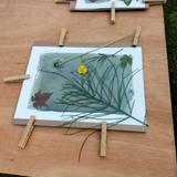 Réalisation Atelier Cyanotype