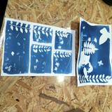 Réalisation Atelier Cyanotype