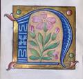 Miniature 📜 Enluminure - Projet accompagné - Image 2