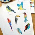 Miniature 🐾 Atelier Aquarelle – Animaux - Image 3