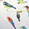 Miniature 🐾 Atelier Aquarelle – Animaux - Image 2