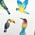Miniature 🐾 Atelier Aquarelle – Animaux - Image 4