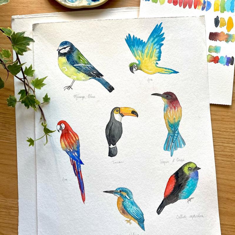Atelier 🐾 Atelier Aquarelle – Animaux - Cours Aquarelle à Capinghem - Photo 1