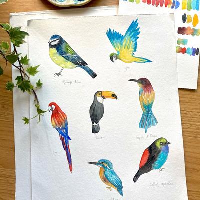 Atelier Atelier Aquarelle – Animaux - Cours Aquarelle à Capinghem