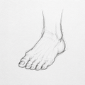 Miniature Dessin - Anatomie - Image 12