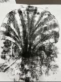 Miniature Monotype – Créez votre première estampe - Image 4